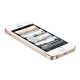 苹果APPLE iPhone 5s 16G土豪金正品手机（可选色）